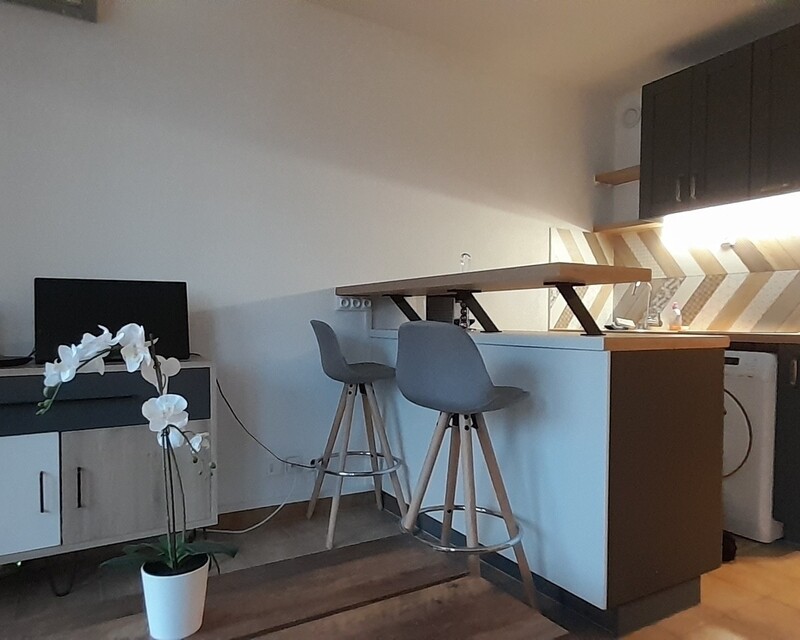 Studio meublé avec terrasse - 20230128 165230