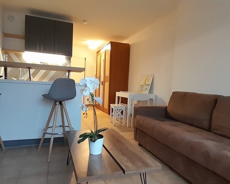 Studio meublé avec terrasse - 20230128 165135