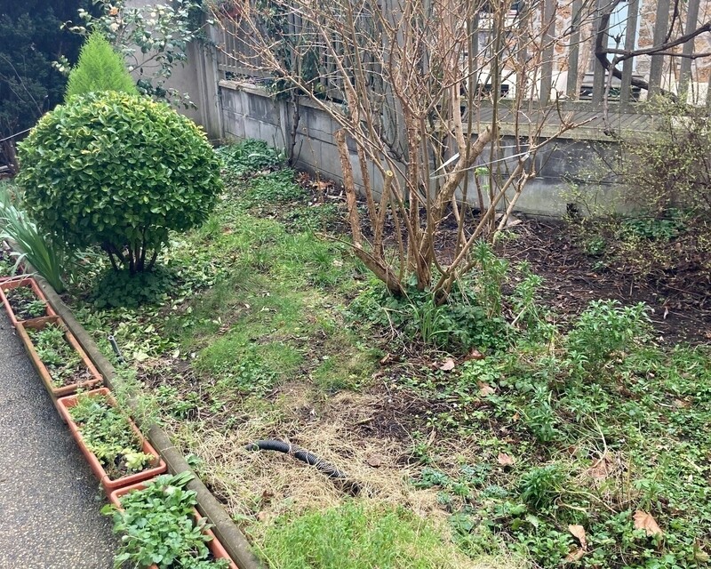 En exclusivité – Appartement Bagnolet limite Les Lilas - Cour