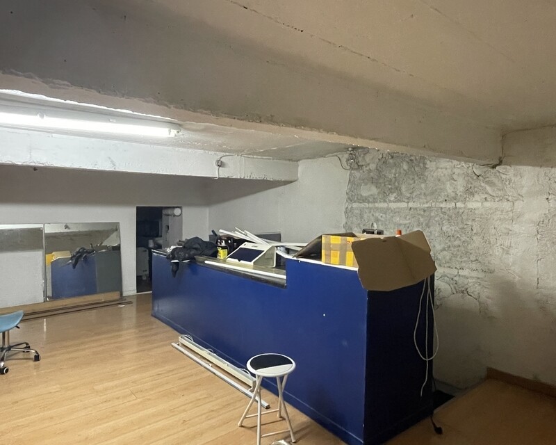 Local Commercial de 250 m2  - 7e309a5c-6382-439b-8e46-35c8ae768527