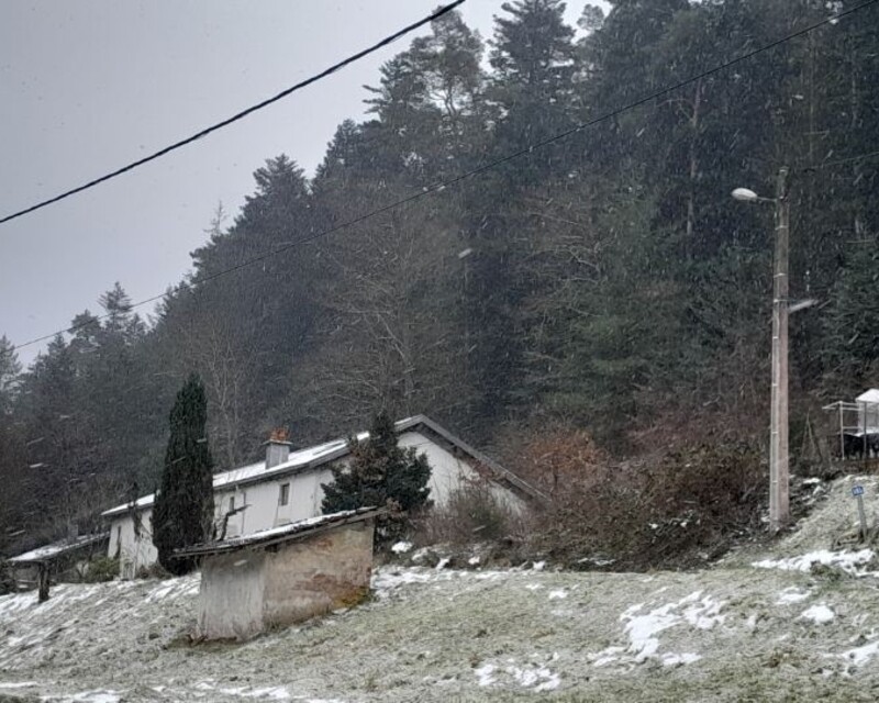 ferme dinozé - Wernert photo 1