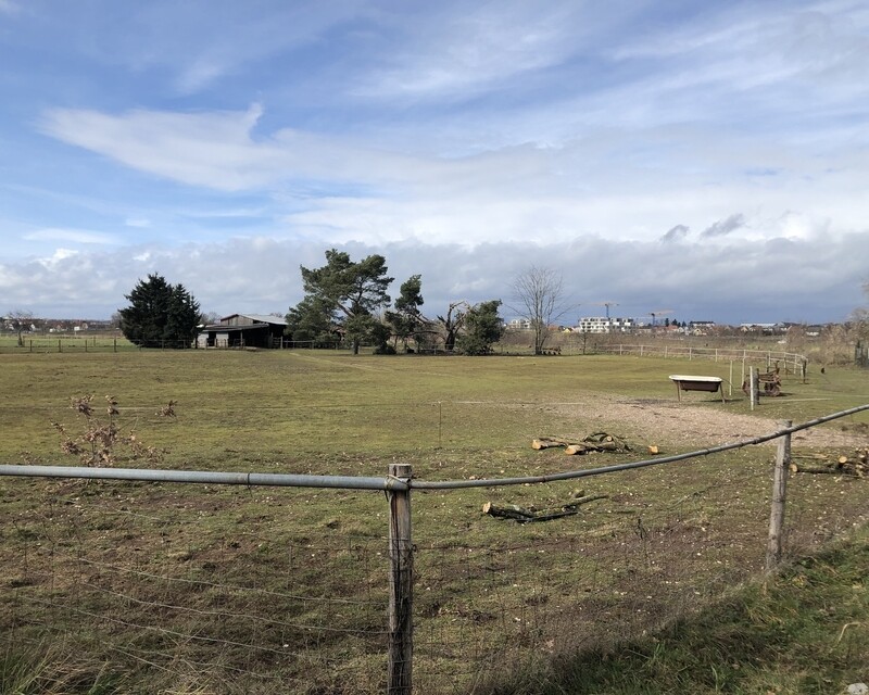 Terrain Haguenau proche VLS - Hxxljnbwr5uk6iewflw+xq