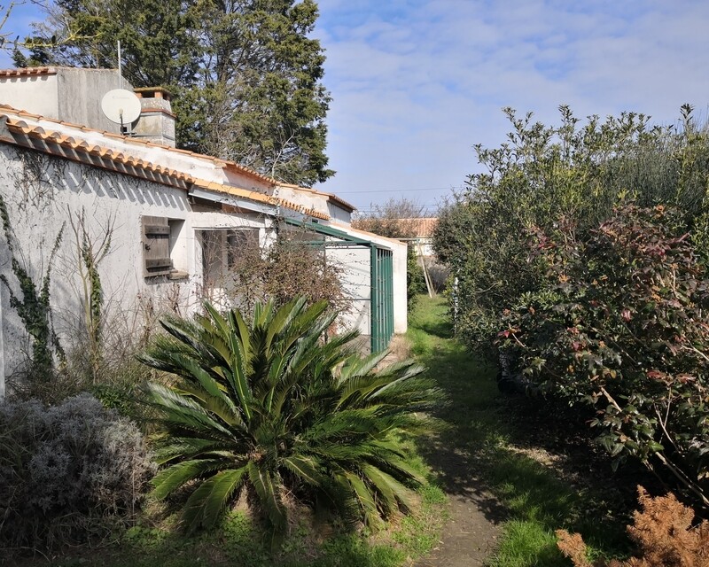 Maison familiale sur terrain de 852m² - Patio jardin
