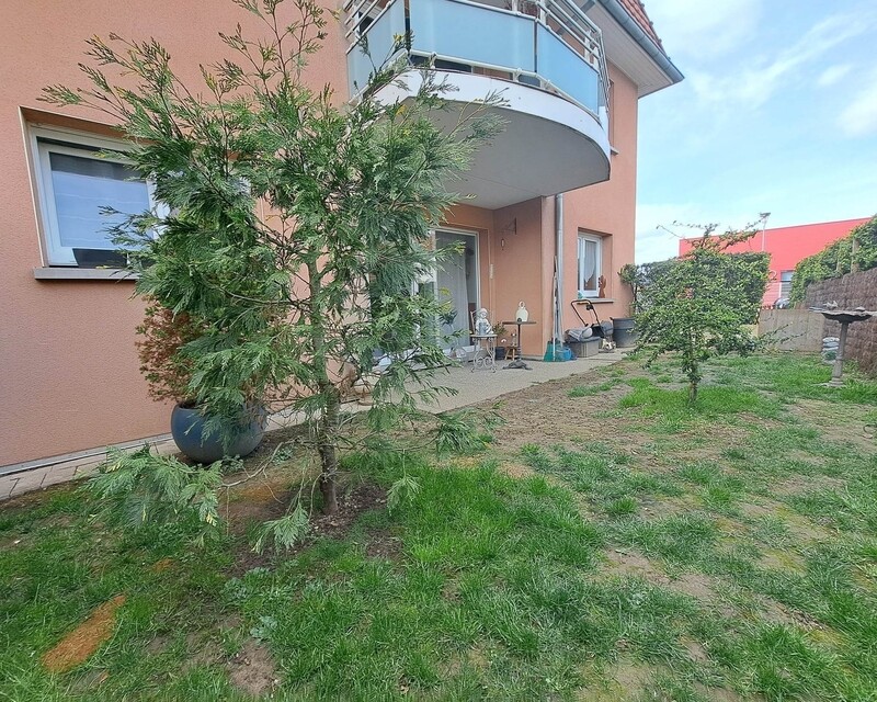 Bel appartement rez de jardin à Habsheim - 339534392 770882131409480 6712208227683683071 n