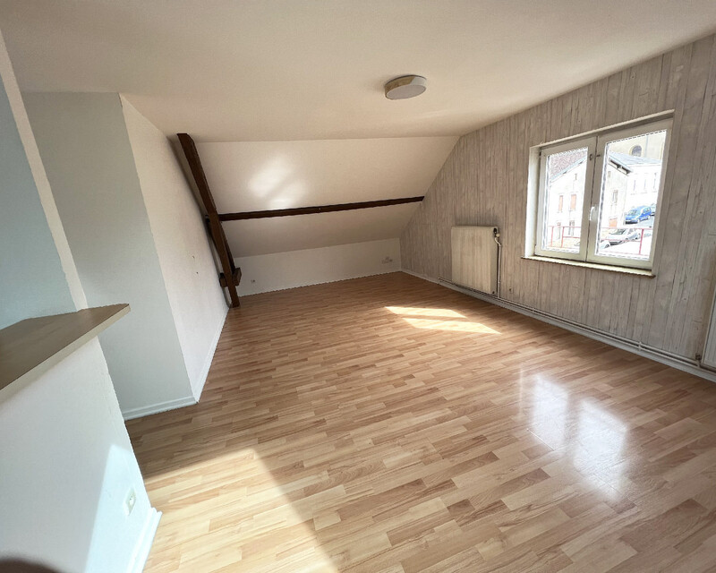 Loue appartement F3 à Boulay centre - Sejour 2-f3