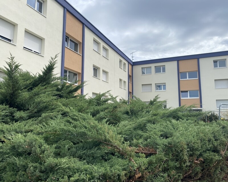 Appartement T2 de 45m2 68270 Wittenheim - Img 3761