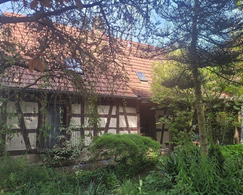 Maison à Croettwiller - 20230506 150343
