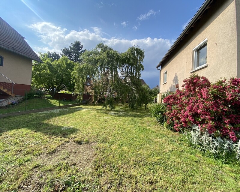 Maison individuelle Raedersheim - Jardin