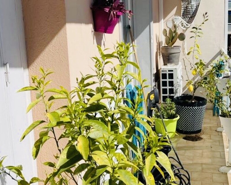 Sous Offre / Appartement 43m2 / Balcon / Double Loggia  - 9e57167f-fc42-4eb4-9373-c84445b2940b
