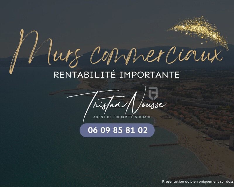Ensemble locaux commerciaux - 3,9 M€ TTC / 3,25 M€ HT - Saint Cyprien - Bien d   exception-2