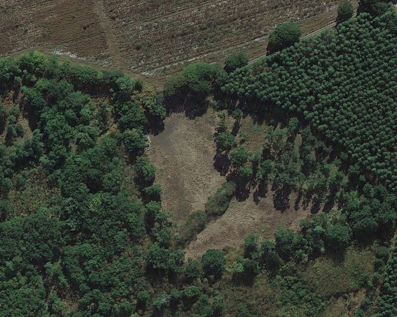 Terrain forestier  - Capture