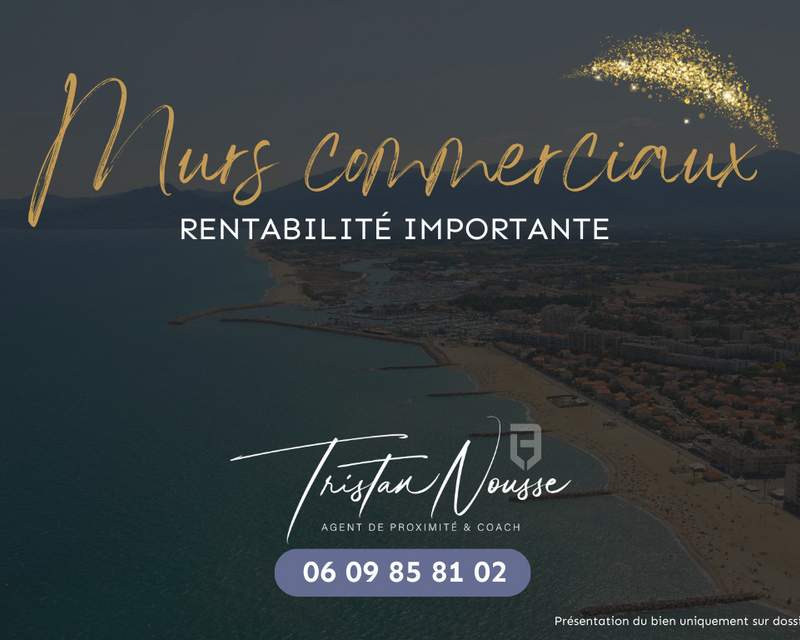 Ensemble locaux commerciaux - 2,6 M€ TTC / 2,16 M€ HT - Saint Cyprien - Bien d exception-4