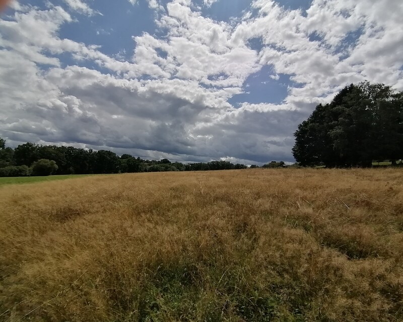 Terrain à bâtir - Saulcy-sur-Meurthe - Img 20230807 151422