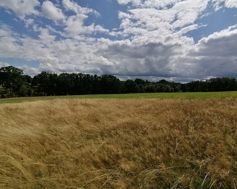 Terrain à bâtir - Saulcy-sur-Meurthe - Img 20230807 151637