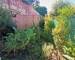 Maison de ville de 140m2 avec jardin - Img 20230907 134450