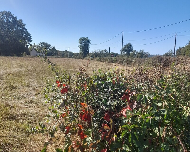 Terrain constructible - 20230920 121410