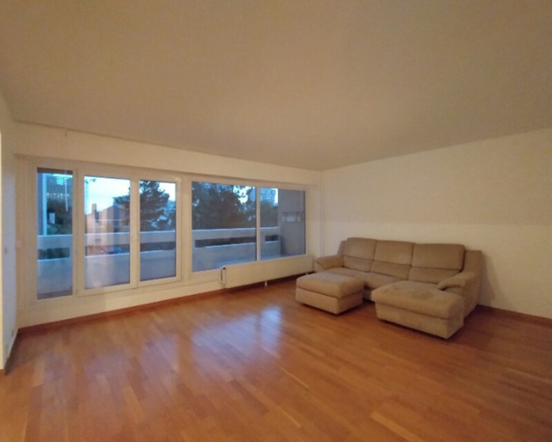 Belle opportunité à saisir à Villejuif appartement 4 pièces 84 m2 - T3 villejuif salon cleanup