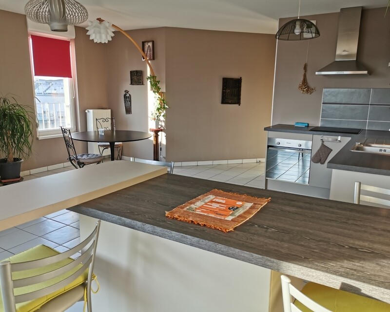 Strasbourg 4 pièces calme absolu et terrasse 16m2 - Séjour 4