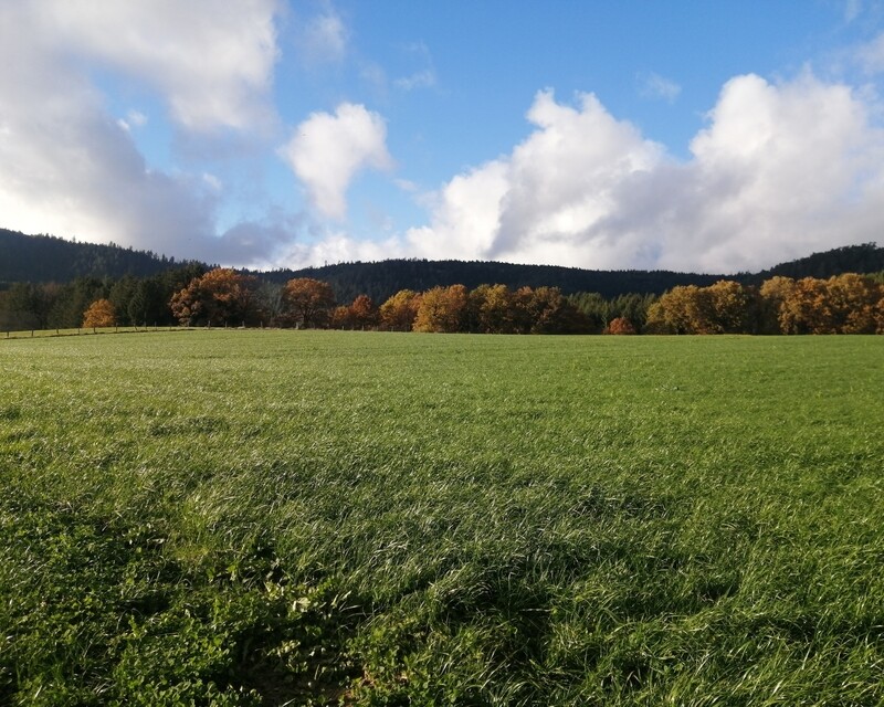 Terrain à bâtir au cœur d'un village - Img 20231115 150248