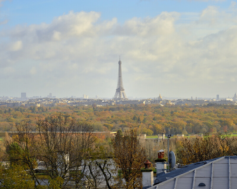 Suresnnes - Appartement 3 chambres _ Roof top vue sur tout Paris  - 11 rue de l hippodrome 08