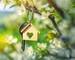 Belle maison saine vous offre plusieurs possibilités - Porte clef maison a une branche d arbre  20240416