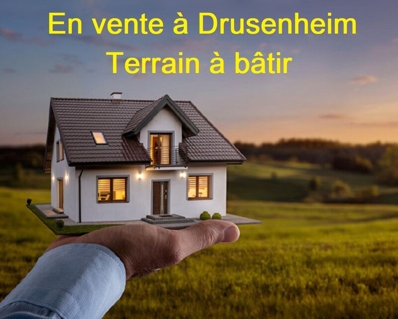 Drusenheim – 2 terrains à bâtir vendus séparément.  - Terrain à vendre2 terrain à bâtir