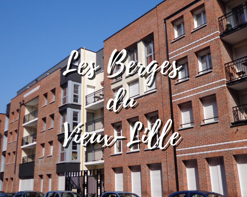 59000 - Vieux-Lille - Les Berges du Vieux-Lille - Appartement T2 - 1710176502330