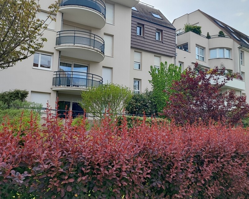 Lingolsheim bel appartement, sécable - Img 20240427 172119
