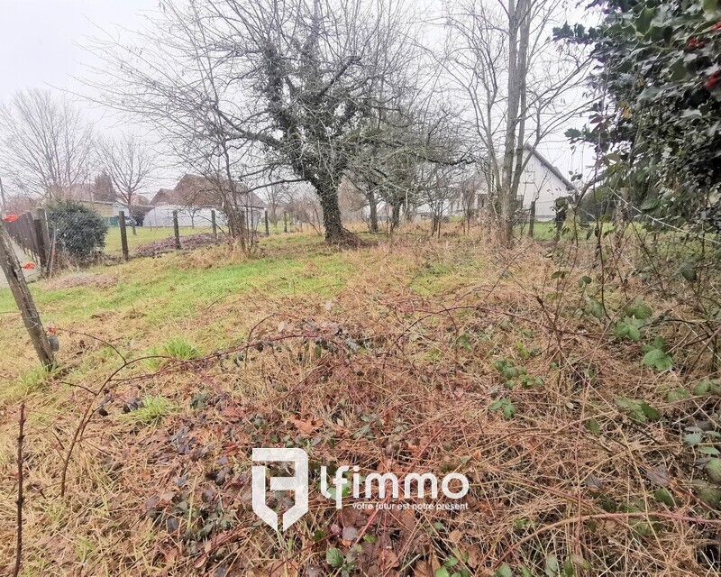 Terrain à bâtir de 3,76ares à Aspach-Michelbach (68700) - Img 20210208 143919