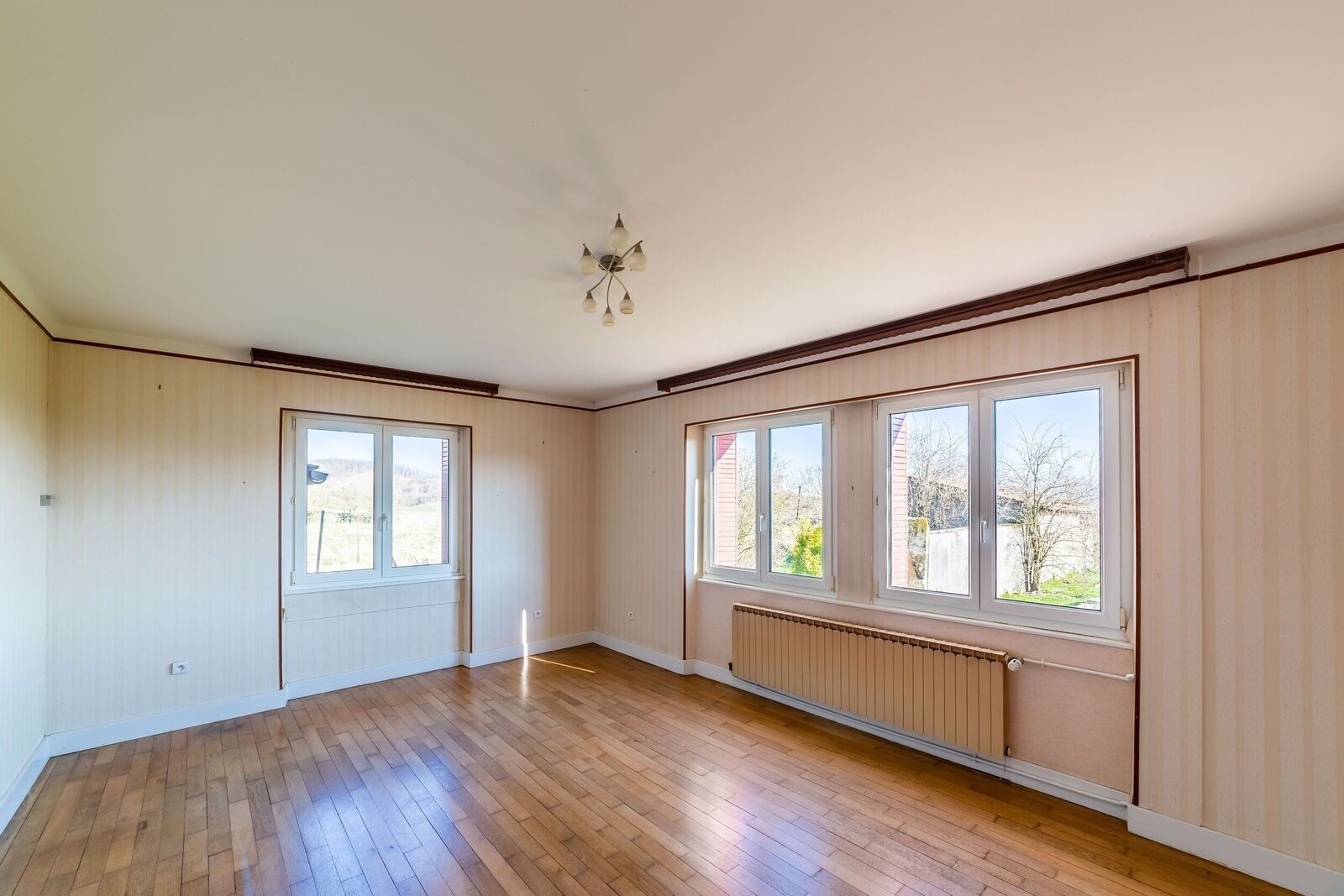 Grande Propriété au milieu des champs ! - Salon