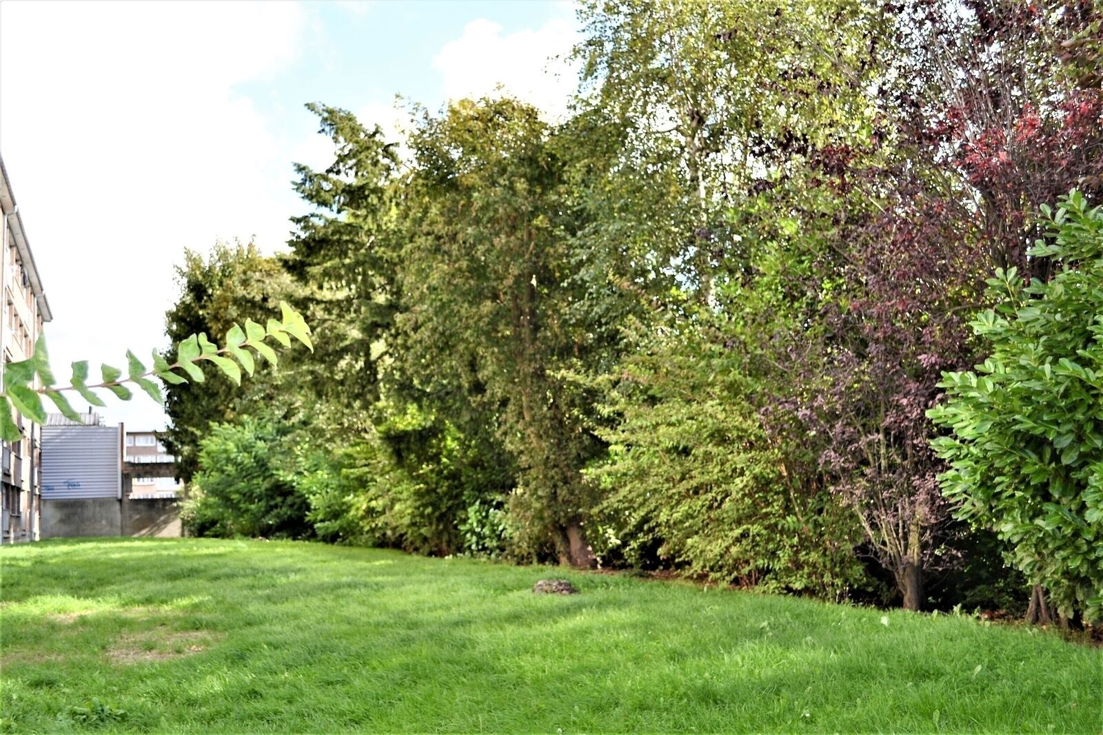 Spacieux Appartement au calme, de type III - Dsc 0183