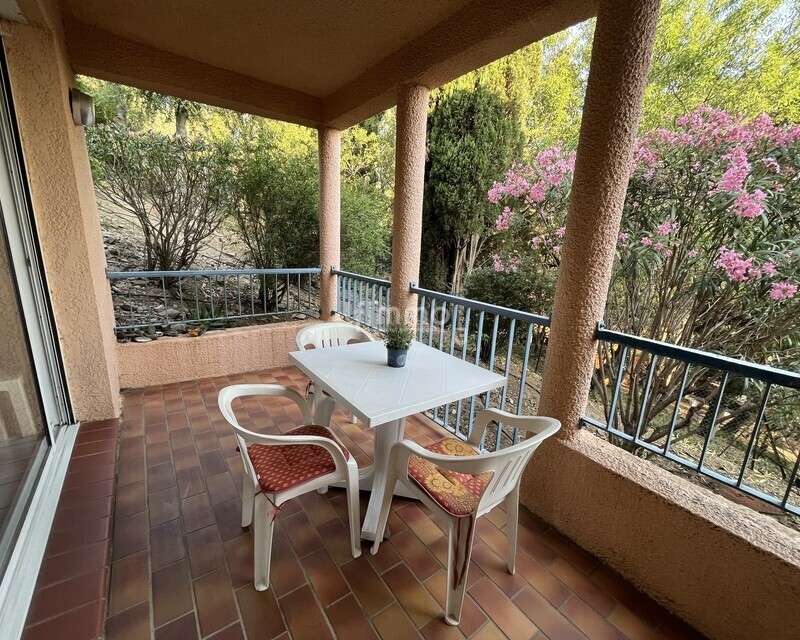 T2 34m² Collioure avec terrasse + parking - Image01165