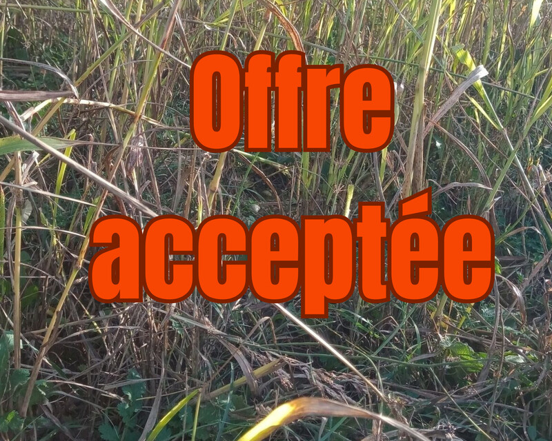 Terrain à bâtir.  - Sous compromi 20240107 183413 0000