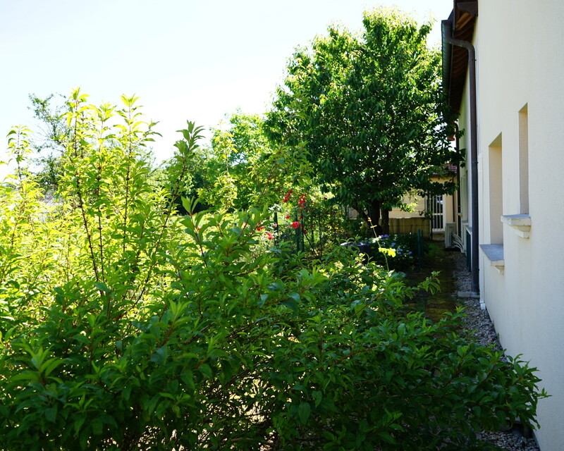 Ensemble immobilier à Golbey idéal investisseurs - Dsc00554