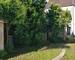 Maison et  verdure - Jardin 1