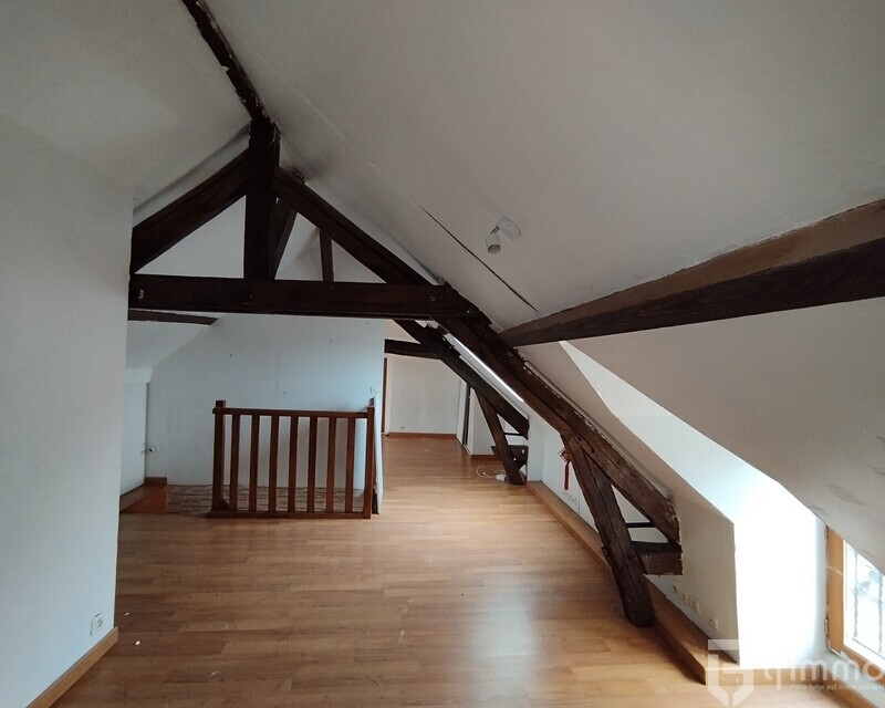 Investissement  Rentable- 2 maisons et un appartement  221 m²  - Lourdez 4
