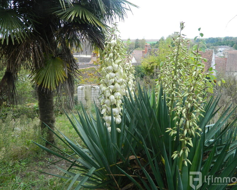 Investissement  Rentable- 2 maisons et un appartement  221 m²  - Dscn0633