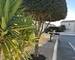 Maison T4 avec jardin, garage et 3 chambres - Cb4c91b5-7f6c-4422-b924-c8139ae0eb42 1 105 c
