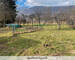 Grande maison à Kruth - Appartement disponible - Jardin