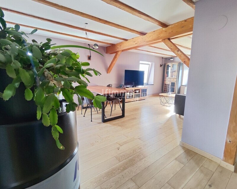 Maison 160 m² + grenier aménageable à Ranspach (68470) - 1740249159257
