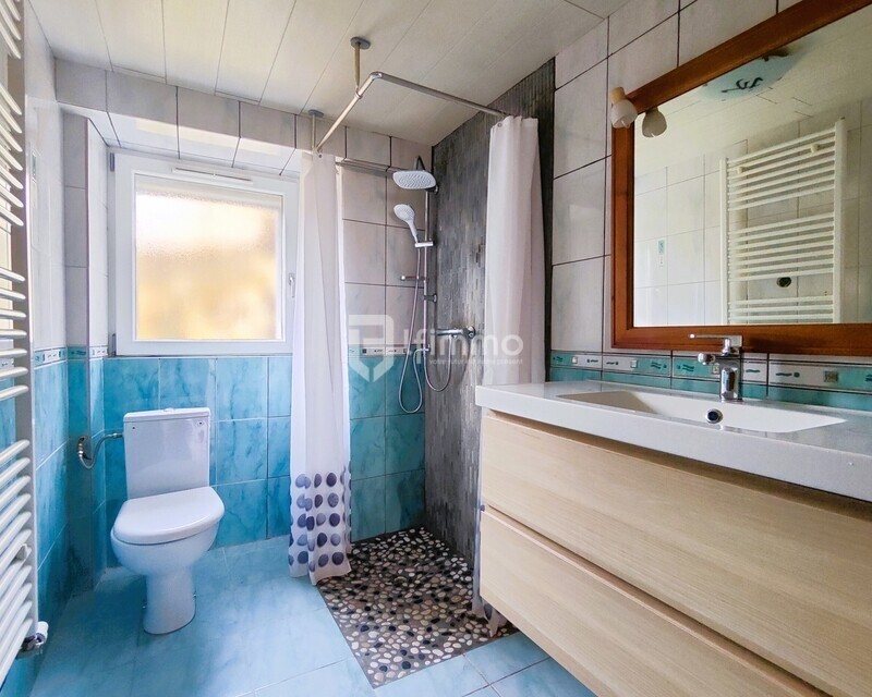 Maison 160 m² + grenier aménageable à Ranspach (68470) - salle d'eau