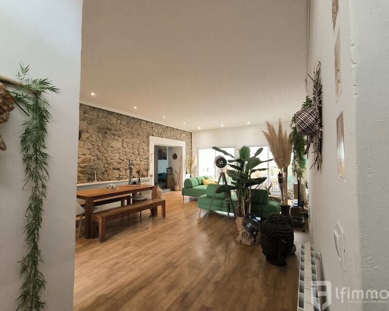 Maison 227 m2 à Saint-Andre-de-roquelongue - Séjour annonce