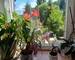 T5 Plain-pied de 118m²  - 20250807 110813