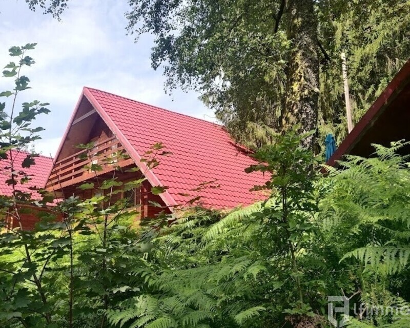 Chalet proche Gérardmer - Img 20240730 152832