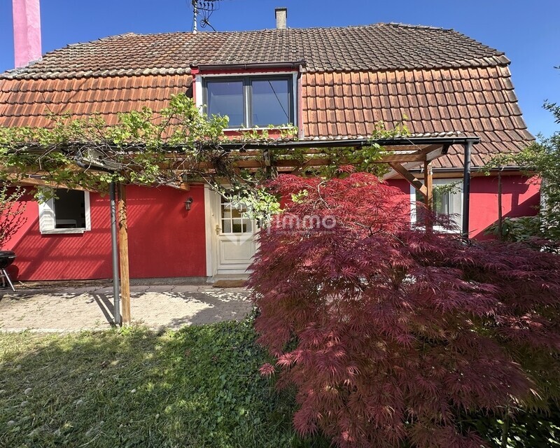 Maison à Volgelsheim - Img 5547