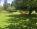Terrain de loisirs de 2 494m² - Img 6440