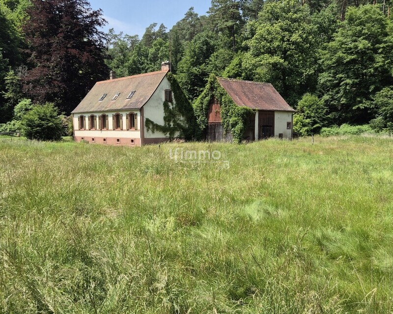 Maison forestière de 141 m2 habitables à Sturzelbronn.  - 20250614 135755