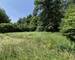 Maison forestière de 141 m2 habitables à Sturzelbronn.  - 20250614 140052