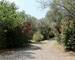 Bastide du 18e entièrement rénovée - Image00068