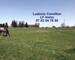 Propriété Agricole : 23 ha chevaux et bovins - Img 5908
